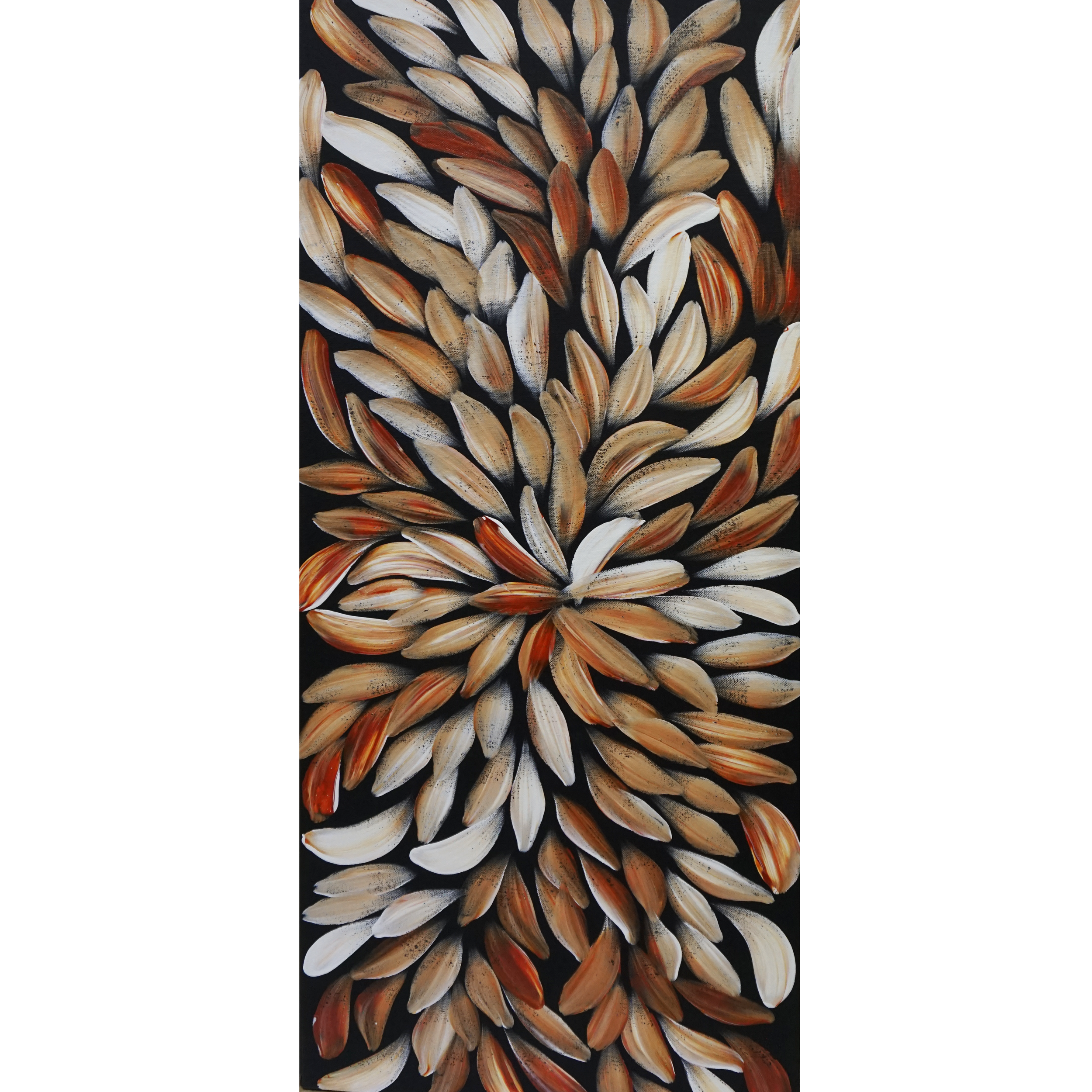 Bush Medicine Leaves — Brown